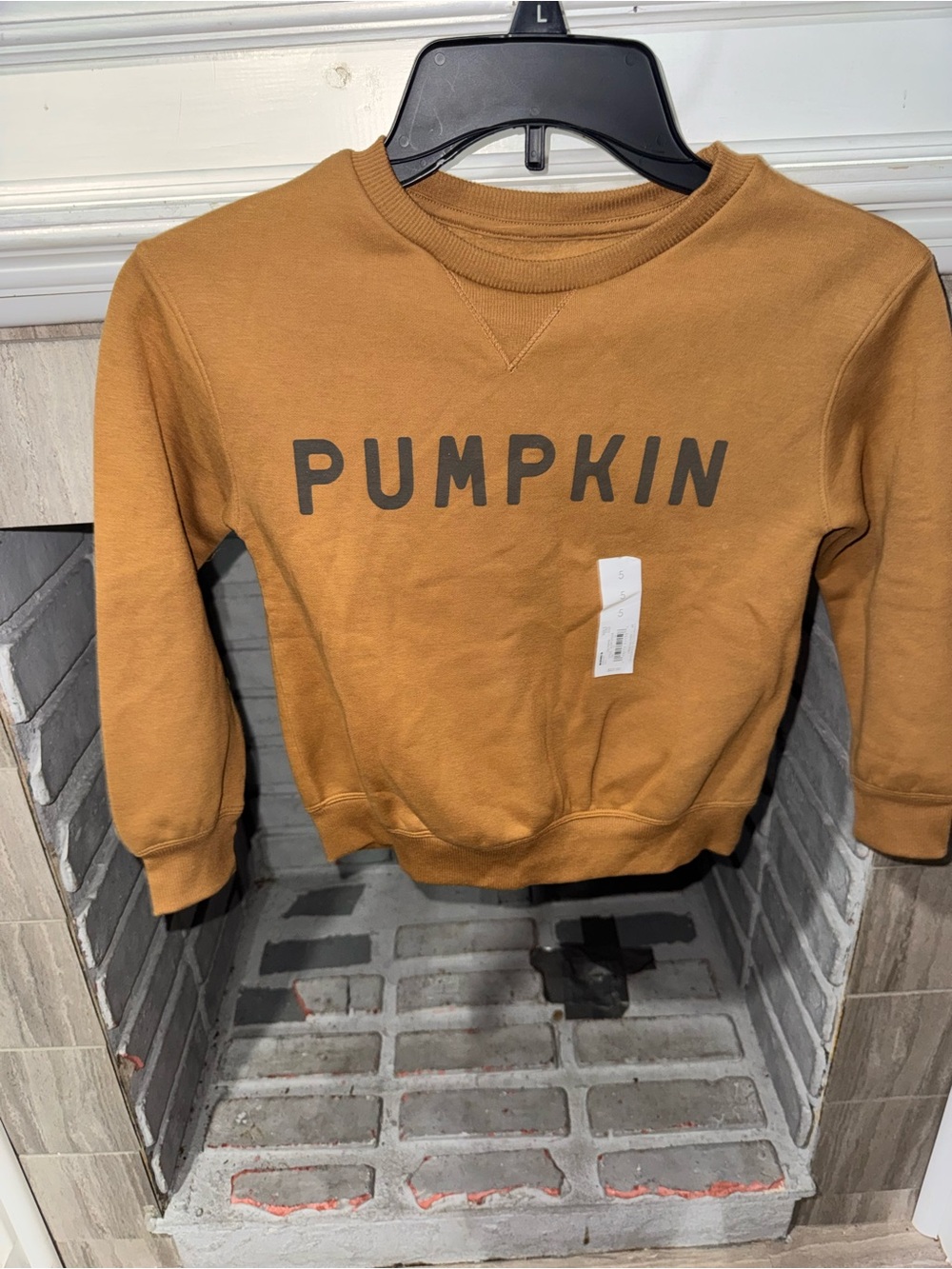 Pumpkin Graphic Crewneck Sweater - Rust